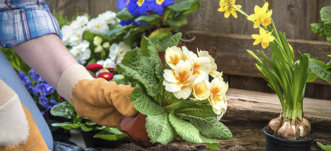 Aanbiedingen Huis, Tuin & Interieur? Alle acties hier! Acties & aanbiedingen voor Huis, Tuin & Interieur? Alle aanbiedingen van bedrijven voor het huis, de tuin en uw interieur! Kijk nu en zie uw voordeel.